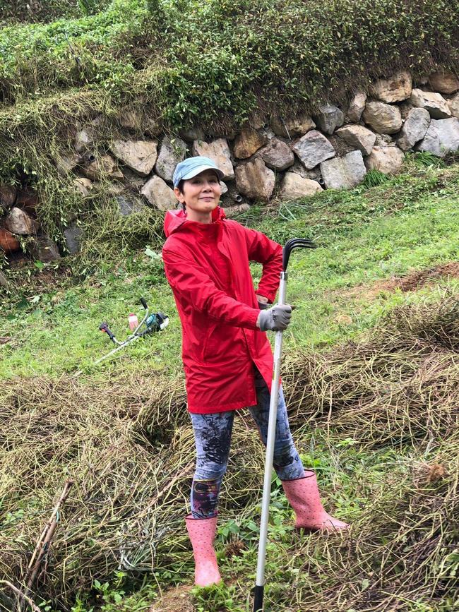 邵氏女星林秀君曝现况(林秀君女儿丁巧唯近况)
