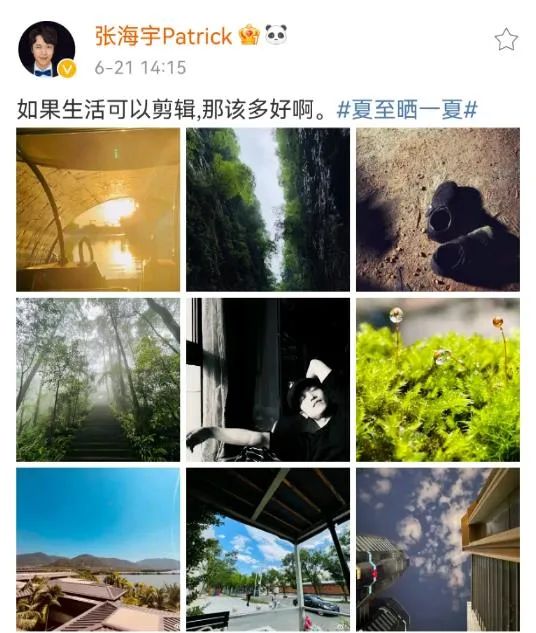 青岛大姨张海宇后续(青岛大姨张海宇哪去了)