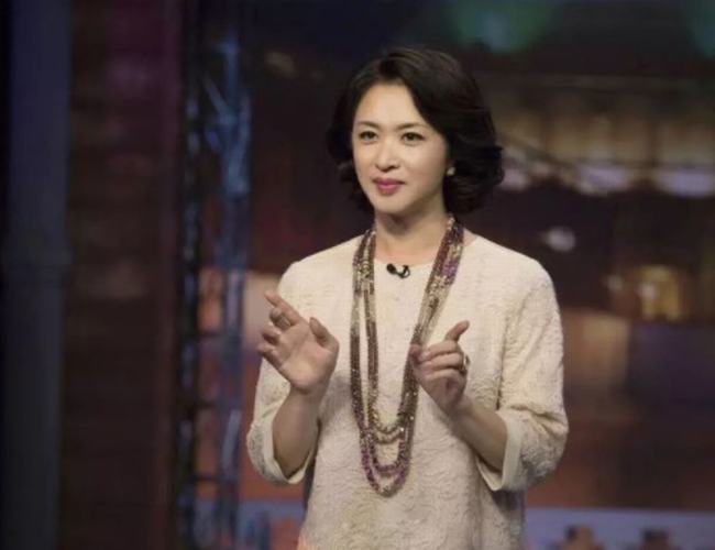 金星成名前经历(金星个人简历结婚照)