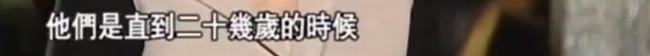金星成名前经历(金星个人简历结婚照)