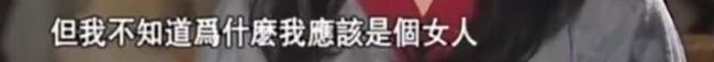 金星成名前经历(金星个人简历结婚照)