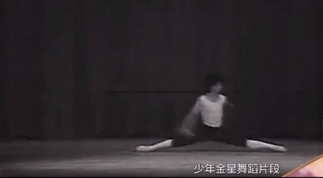 金星成名前经历(金星个人简历结婚照)