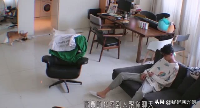 秦霄贤胖了多少斤(秦霄贤增肥前多少斤)
